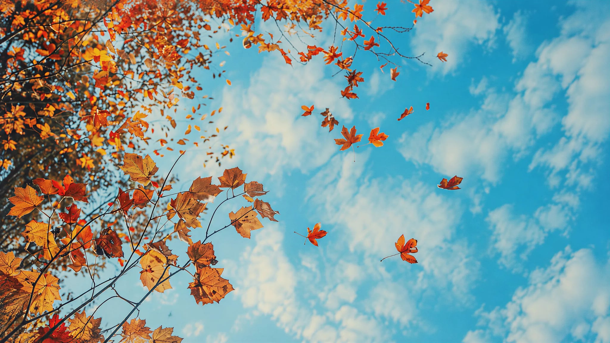 Duschrückwand - Herbstlaub Himmelblau – Bild 7