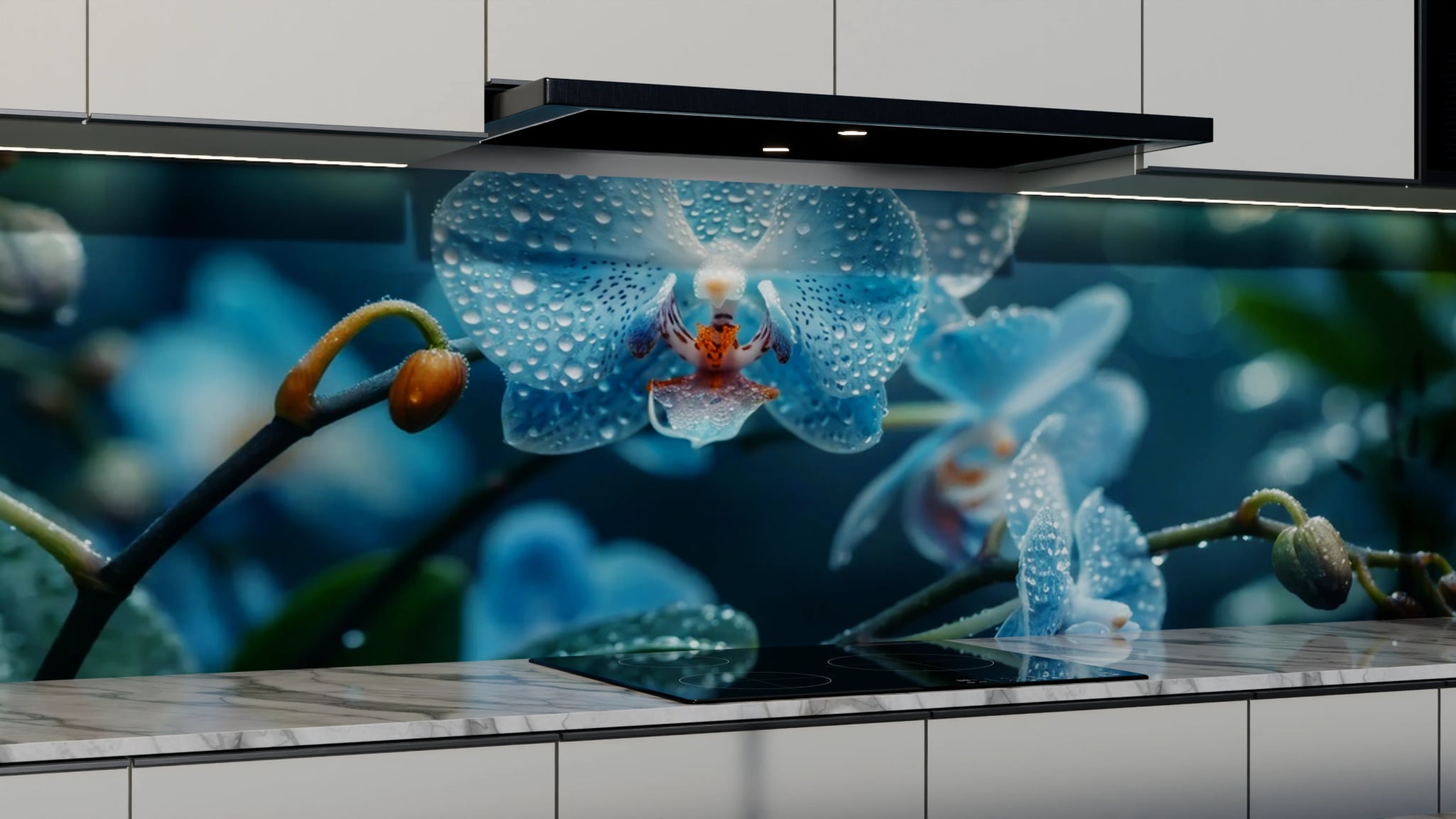 Küchenrückwand - Orchidee Blau Regentropfen – Bild 3