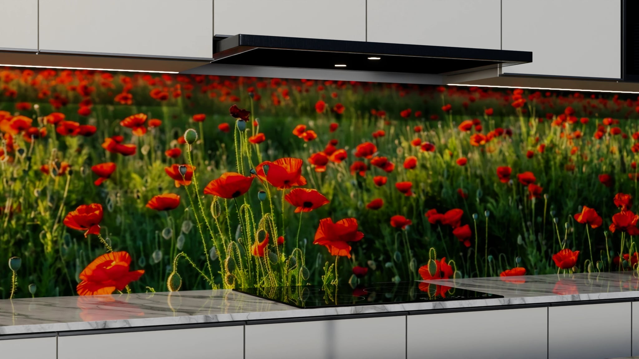 Küchenrückwand - Mohnblumenfeld Rot Wald – Bild 3