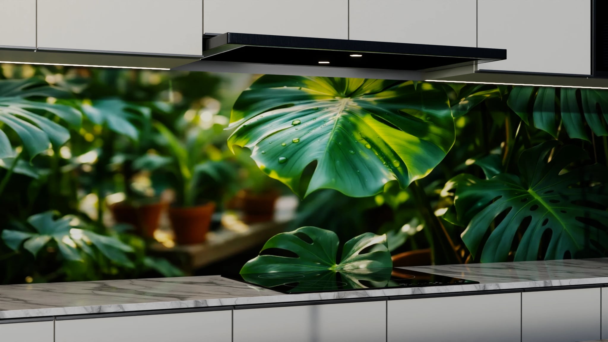 Küchenrückwand - Monstera Gewächshaus Sonnenlicht – Bild 3