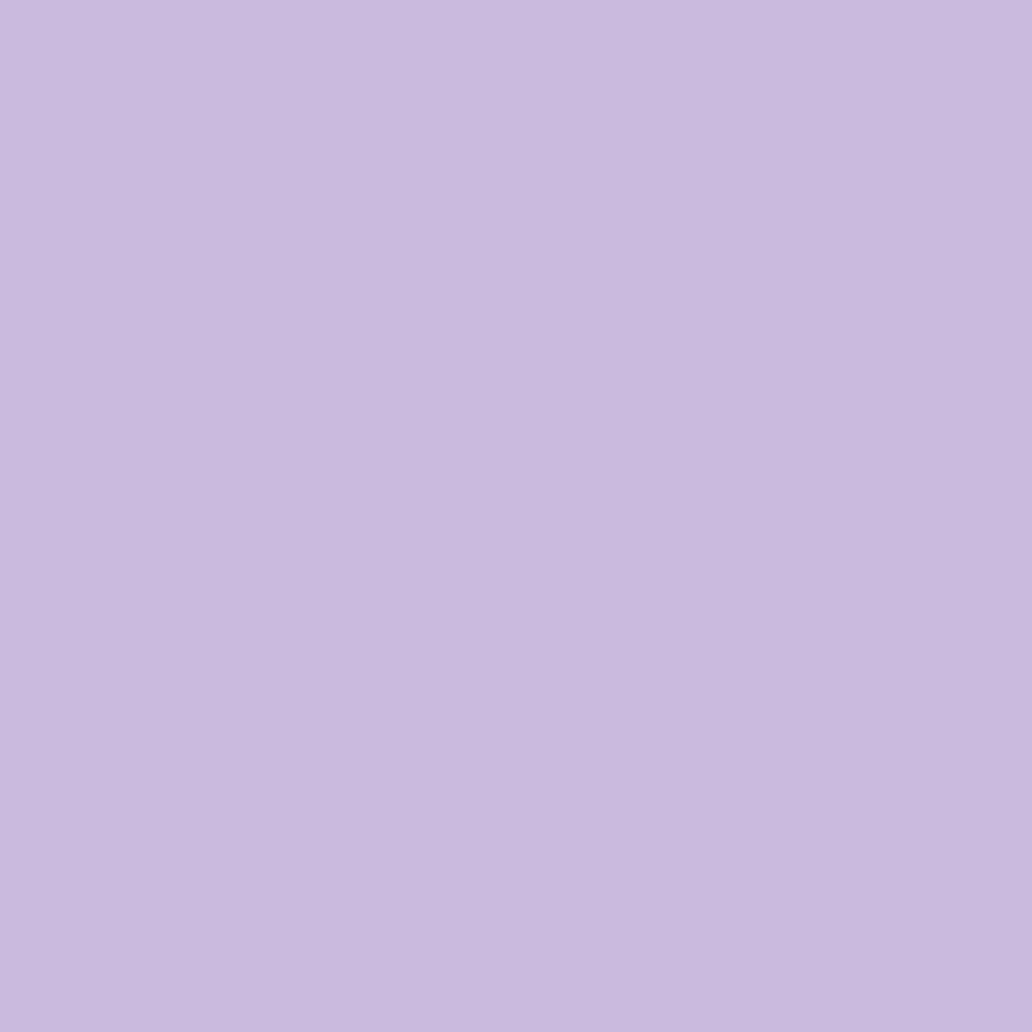 Spritzschutz - Lavendel – Bild 6