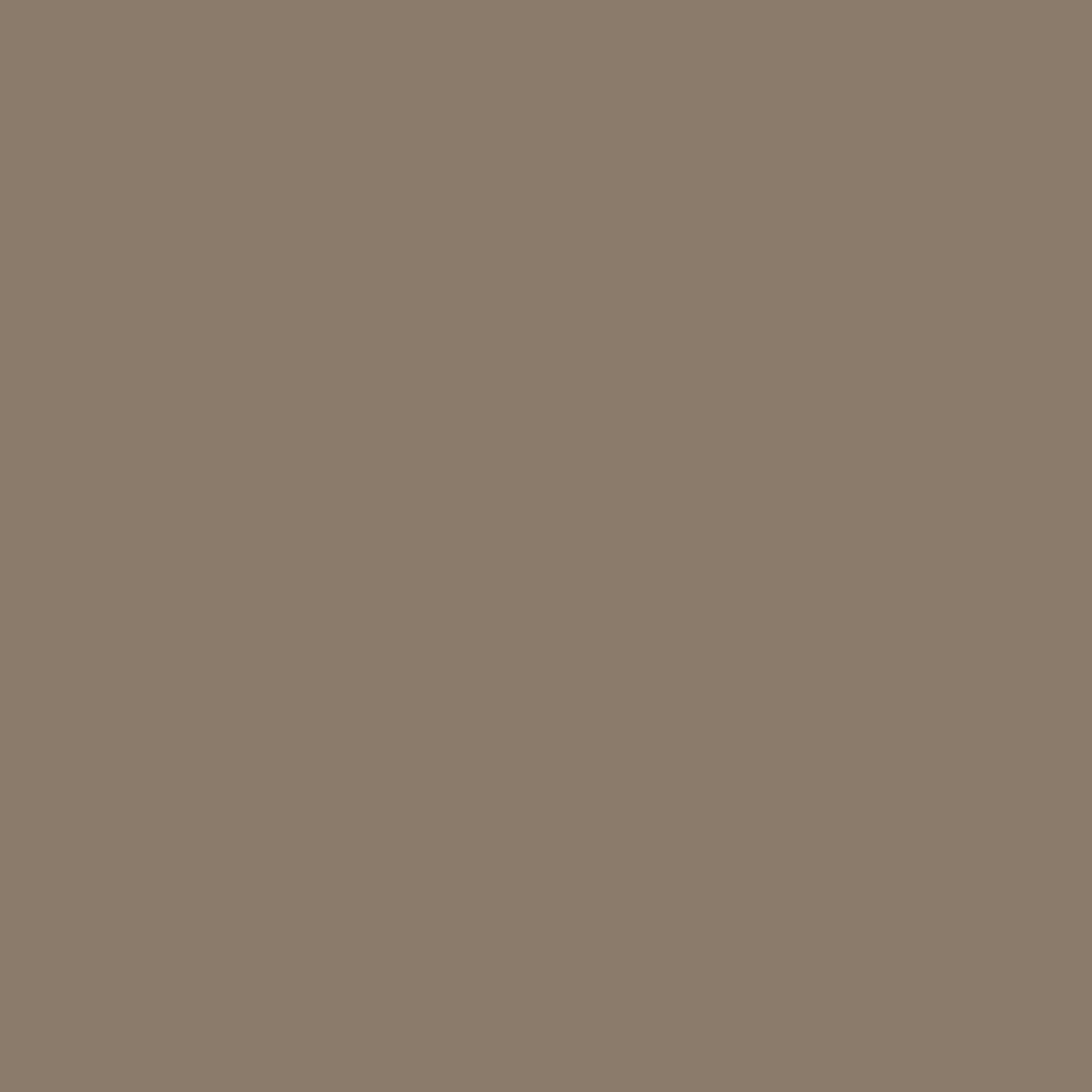 Spritzschutz - Taupe – Bild 6