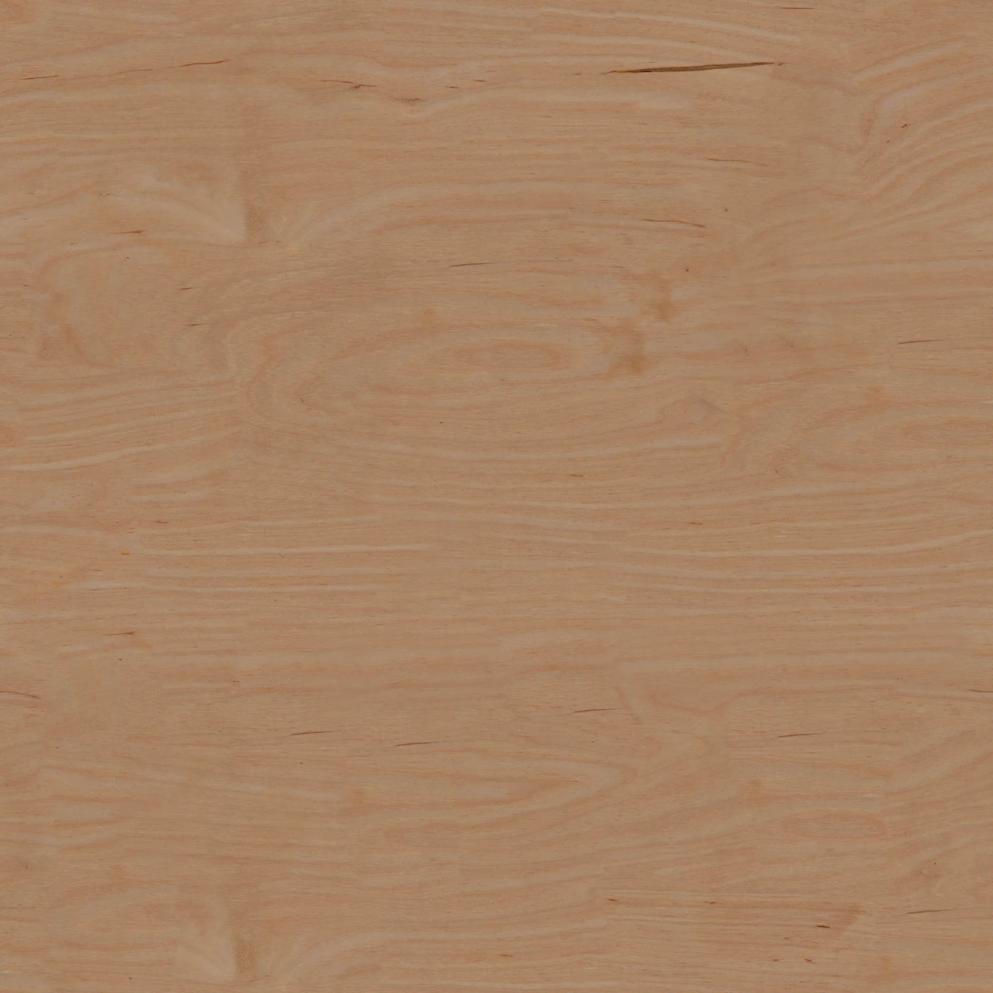 Spritzschutz - Holz Birke Hell – Bild 6