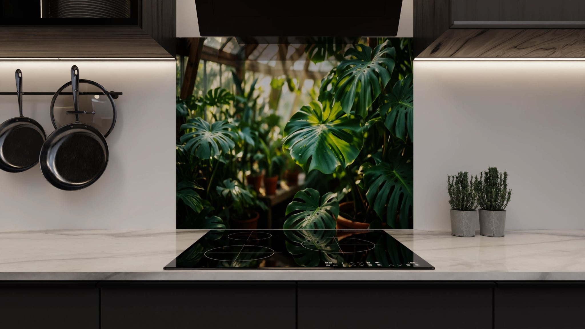 Spritzschutz - Monstera Gewächshaus Sonnenlicht – Bild 3