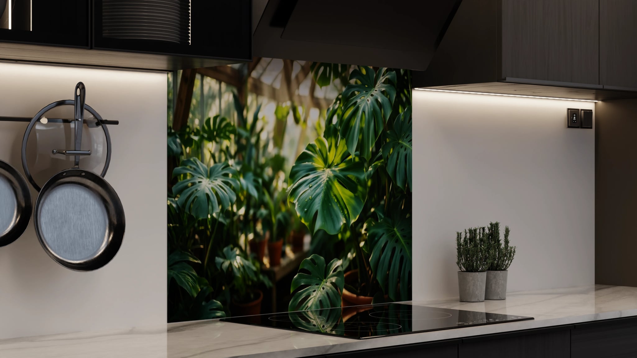 Spritzschutz - Monstera Gewächshaus Sonnenlicht – Bild 4